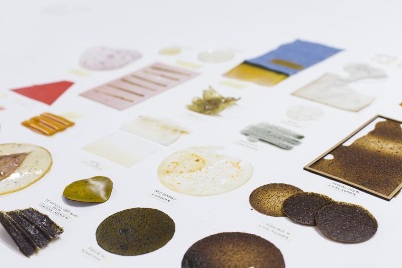 Biomateriales: creaci&oacute;n de materiales con descartes org&aacute;nicos