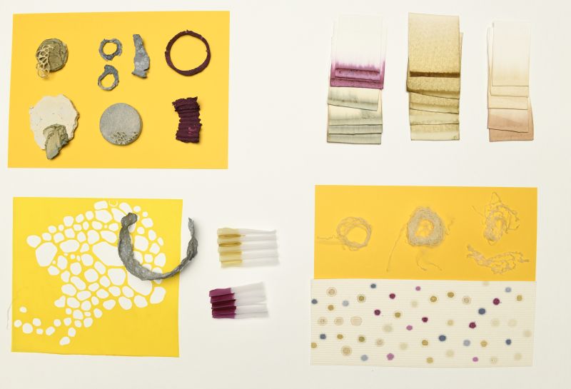 <p>Simultaneously, a budding investigation of the local flowers is conducted, focusing on deconstruction, careful observation, and attention to detail. The resulting drawings will be shared as open-source material, available for anyone to use.</p>
